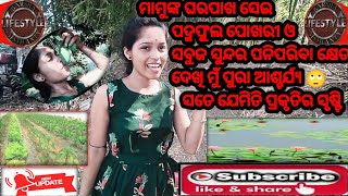 ବହୁତ ଦିନପରେ  ମାମୁଙ୍କ ଘରେ ପାଦପଡିଲା ବେଳକୁ ଦେଖିଲି ସବୁକିଛି ପୁରାବଦଳିଯାଇଛି 🤔, କାହିଁକି ହେଲା ଏମିତି //like👍