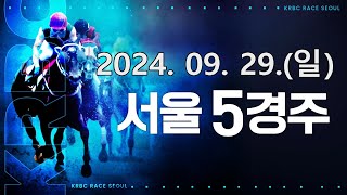 (서울) 2024.09.29 5경주