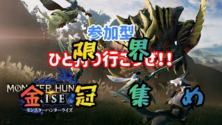 171【MHRise】金冠集めにひと狩りいこうぜ！！