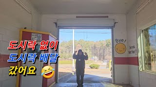 🇺🇸 미국 일상 브이로그 | 남편 도시락 배달 | 미국 도서관에서 책 읽기 | 집에 있는 날파리 퇴치법