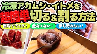 【簡単】冷凍アカムシを切る方法・割る方法を探る！セリアで買ったグッズが最強だった #アクアリウム #百均 【ビバアクア】