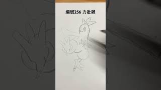 ｜寶可夢圖鑑 編號256 力壯雞｜pokemon Combusken｜