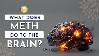 What Does Meth Do To The Brain #drugrehab #addictiontreatment #recoveryjourney