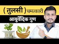 350:Har Har Tulsi(तुलसी) Ghar Ghar Tulsi|| 100 Rogo Ko Ghar Me Thik Karnewali Magic Dawa Tulsi