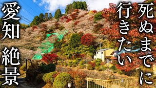 [Cherry Blossom Village] 10 Spectacular Views of Aichi to Visit in Autumn - JAPAN in 8K