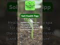 Soil Health - Healthy soil is like a spa for plants, pampering their roots with nutrients. #organic