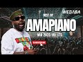 BEST OF AMAPIANO MIX 2025 | DJ WEBABA