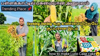 நம்மட Eastern ல இந்த மாதிரி ஒரு அனுபவமா😮 | சின்ன outingக்கு சட்டப்படி place🔥| Beautiful Experience