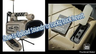 How to upload (sounds)or (calls) on to Lucky Duck Revolt