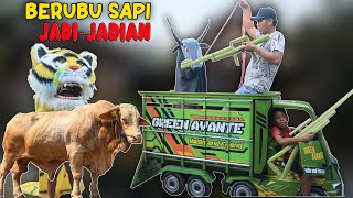 #eps1 RENDI B3RBURU SAPI WISANGGENI PAKAI S3N4PAN DEBOG | MALAH JADI BARONGAN MACAN