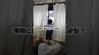 山口敏太郎の息子　タロウ　また雪だよ