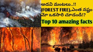 Top 10 facts on Forest fires in telugu| అడవి మంటలు| SameeR knowledge