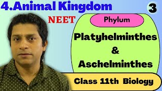 Animal Kingdom 03 |Platyhelminthes and Aschelminthes |Phylum Platyhelminthes \u0026 Aschelminthes | NEET