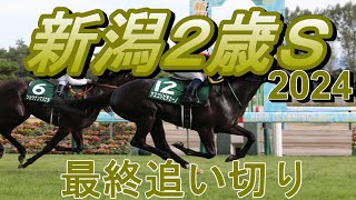 【新潟２歳ステークス2024】第44回新潟２歳ステークス最終追い切り