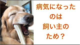 動物が病弱なのは夫婦仲を取り持つためだった