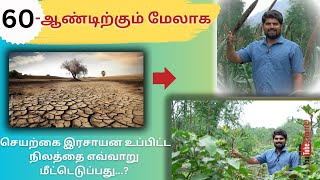 இரசாயன உப்பிட்ட நிலத்தை மீட்பது எப்படி??