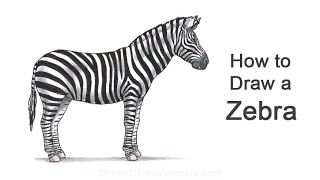 How to Draw a Zebra