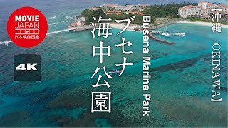 沖縄　ブセナ海中公園 4K Busena Marine Park