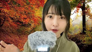 【ASMR囁き】心地良いオノマトペ【睡眠導入】【Japanese Onomatopoeia】