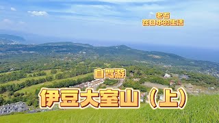 自驾游第一个景点 伊豆大室山 山上的风景真的很漂亮