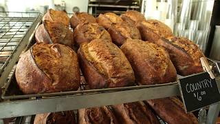 BirchTree Bread Company - Worcester, MA