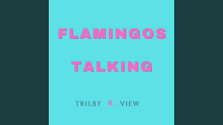 Flamingos Talking