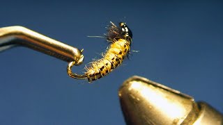 Easy and simple Caddis Larva fly tying tutorial by Ruben Martin