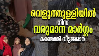 Garlic peel Business malayalam | women Entrepreneurs | ente Samramabam | എന്റെ സംരംഭം | 01