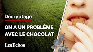 🍫 Le VRAI problème avec le chocolat