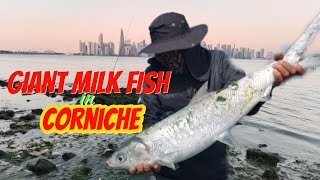 Good Spot For Catching Milk Fish| Doha Qatar|