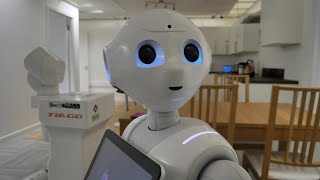 En Escocia programan robots para asistir a personas aisladas | AFP