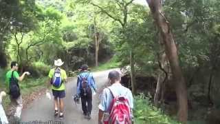 【Hong Kong Hiking】Trail 14 (大欖自然教育徑 Tai Lam Nature Trail)