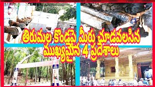 @PVR_TV || Most popular Please in Tirumala || తిరుమల కొండపై తప్పకుండా చూడవలసిన ప్రదేశాలు. తెలుగు.