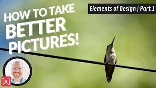 How to Take Better Pictures! - Elements of Design | Part 1