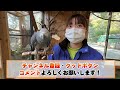 動物の体重測定って結構大変なんです！