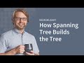 How Spanning Tree Builds the Tree