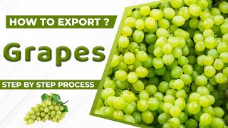 How to Export Grapes A to Z information | Grapes Export Import Business | by Paresh Solanki