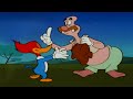 Woody Is Sleepwalking! | 1 Hour of Woody Woodpecker Full Episodes