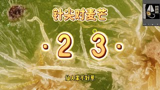 8月15日 针尖对麦芒23