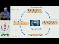 Muscle Memory and a New Cellular Model for Muscle Atrophy and Hypertrophy