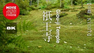 京都　祇王寺　苔寺　8K Giou-ji Temple