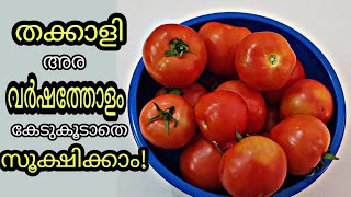 തക്കാളി കേടു കൂടാതെ സൂക്ഷിക്കാം | 6  മാസത്തോളം | Tomato Storing Ideas | Sketch media