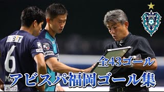 🐝2024年シーズン🐝アビスパ福岡ゴール集(全43ゴール)【写真付】/ Avispa Fukuoka 2024 season all goals