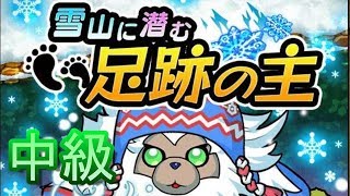 【ドラファン】雪山に潜む足跡の主[中級]チャレンジ1\u00262\u00263