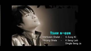 TSAW N GUN