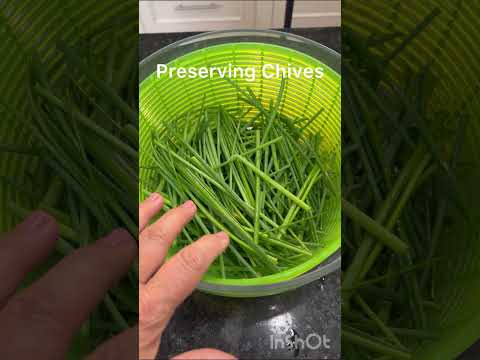 How can I buy chives?