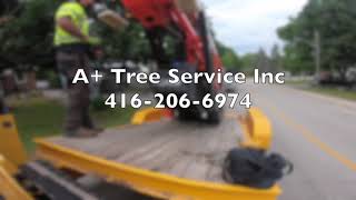 A+ tree Service