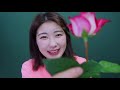 korean dad jokes 3 what s a flower s least favorite city