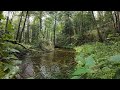 the soothing sound of the river and the healing powers of nature in early autumn