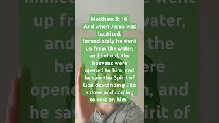 The Holy Spirit: Dove \u0026 Fire - Unpacking the Biblical Symbols🕊️#shorts